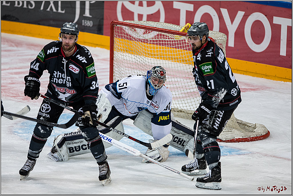 Koelner Haie - ERC Ingolstadt, 23.10.2016